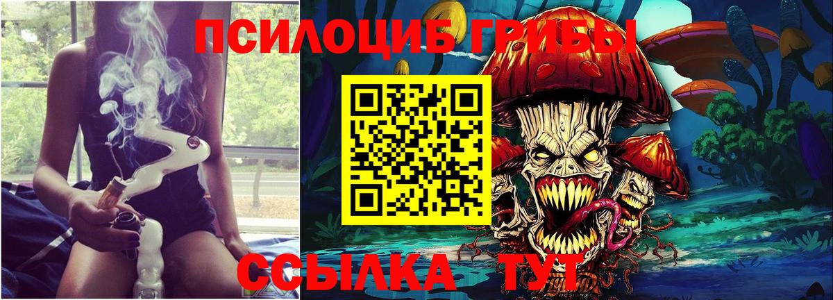 Псилоцибиновые грибы Magic Shrooms Санкт-Петербург